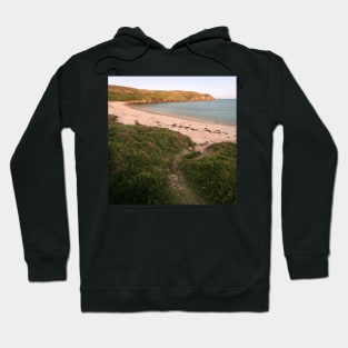 Beach Path Hoodie